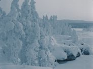 L'hivernage en Laponie