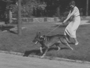 Stillbild från filmen Hur behandlar du din hund som visar en kvinna som är ute med sin hund i koppel.