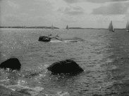 Segelbåtar på fjärden utanför Sandhamn.
